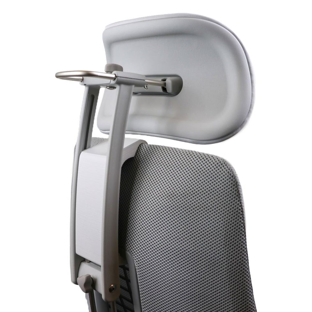 Haworth fern headrest Clearance